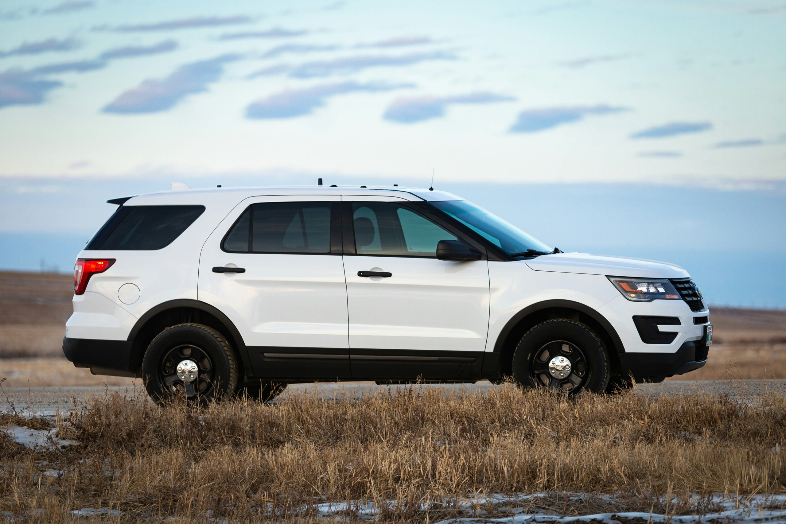 A white Ford Explorer in a field