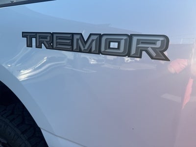 2025 Ford Super Duty F-350 SRW XL 4WD Crew Cab 8' Box