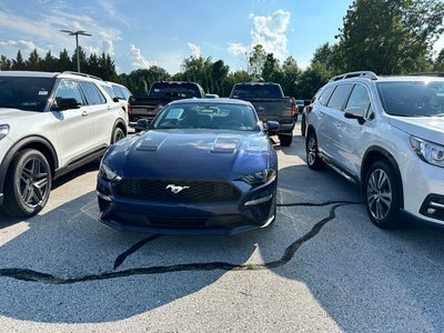 2019 Ford Mustang EcoBoost